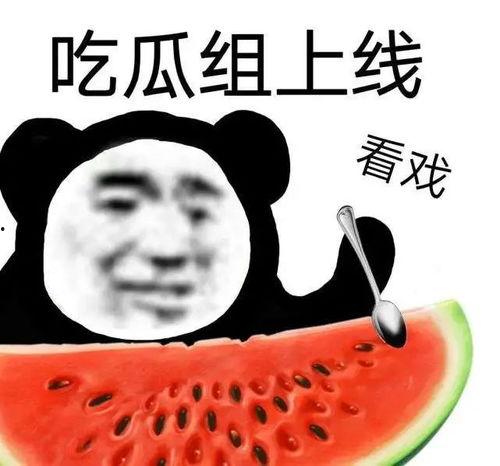 小麻薯吃瓜,揭秘娱乐圈那些不为人知的幕后故事