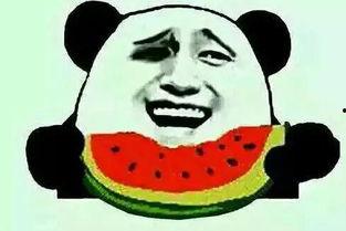 吃瓜少年圈圈圆,揭秘吃瓜少年的神秘世界