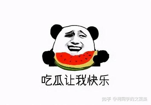 卖瓜吃瓜文案简短精辟,自食其果