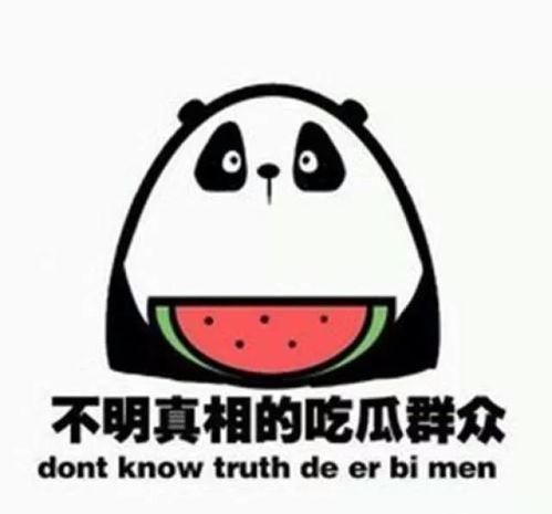 吃瓜这件小事,揭秘吃瓜这件小事背后的趣味与智慧
