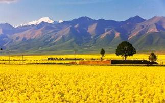 最中国云南之岚